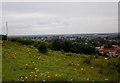 View across to Pocklington