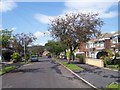 Marchwood Road, Stannington