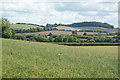 View Towards Neatham Down, Hampshire