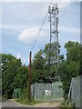 TQ5972 : Mobile Phone Mast near Southfleet by David Anstiss