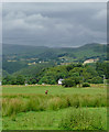 Farmland near Pontarfynach (Devil