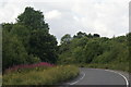 Slip Road off the A31, Chawton, Hampshire