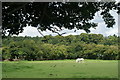 White Horse at Chawton, Hampshire