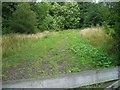 Track in Abbotts Wood