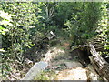 Fallen tree across footpath to Marlpost Farm