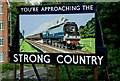 Strong Country advertisement at Alton Railway Station