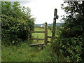 Stile, near Yarcombe