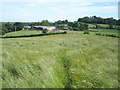 Meadow, north of Blackhayes Farm