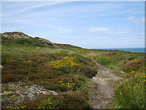 SH4593 : The Anglesey Coastal Path on the Llam Carw Heath by Eric Jones