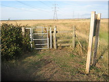 TR0263 : Kissing Gate on the Saxon Shore Way on sea wall by David Anstiss