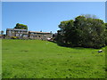 Pasture and cottages in Cowshill