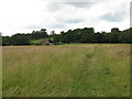 Footpath to Sedgewick Lane