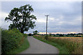 Lane towards Long Itchington (2)