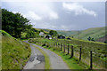 SN7453 : Drovers' Road to Soar-y-Mynydd, Ceredigion by Roger  D Kidd