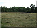 Haymaking on Stakers Farm