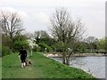 Walking the dogs along the Earth Dam, Tringford Reservoir