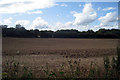 Ploughed Field near Larch Cottage