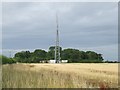 TL8969 : Transmitter Mast by Keith Evans