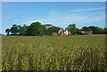 Field of beans and house at Forward Green