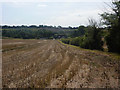 Looking towards Fen Lane