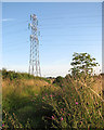 Electricity pylon beside footpath