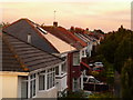 Winton: Eldon Road rooftops