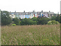 Grosvenor Terrace, Alnmouth