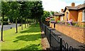 Trees and houses, Belfast