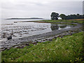 Silty beach near Kiels with shelducks