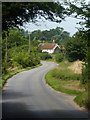 Lane towards Brandeston