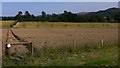 Footpath through field between the West and South Hartings