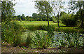 Pond by the golf course