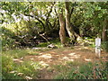 Dried up  Pond  near King Georges Playing Field