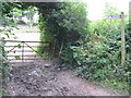 Bridleway gate off Chantry Lane