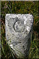 NJ4124 : Boundary stone detail by David Lecore