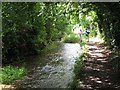 River Iwerne