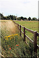 Fencing at Stock Corner