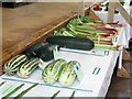 Marrows & Rhubarb at the Long Marston & Puttenham Horticultural Show, 2009