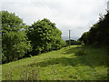 Footpath  through  Edge  Dell