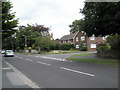 Approaching the junction of The Avenue and Avenue Court