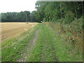 Bridleway near Rooting Manor