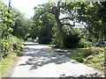 Shadows from  tree in Long Copse Lane