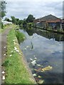 SO9399 : Wyrley & Essington Canal - Heath Town by John M