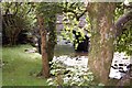 Afon Gwynant and road bridge