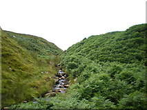 SH9608 : Upstream on the Nant CraigyfrÃ¢n by Richard Law