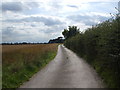 Track to Lodge Farm