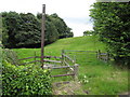 Gateway and public footpath in Nercwys