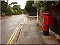 SZ0588 : Canford Cliffs: postbox № BH13 196, Haven Road by Chris Downer