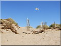 Seagull flying over Camber Sands