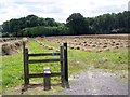 Footpath, Bottlesford